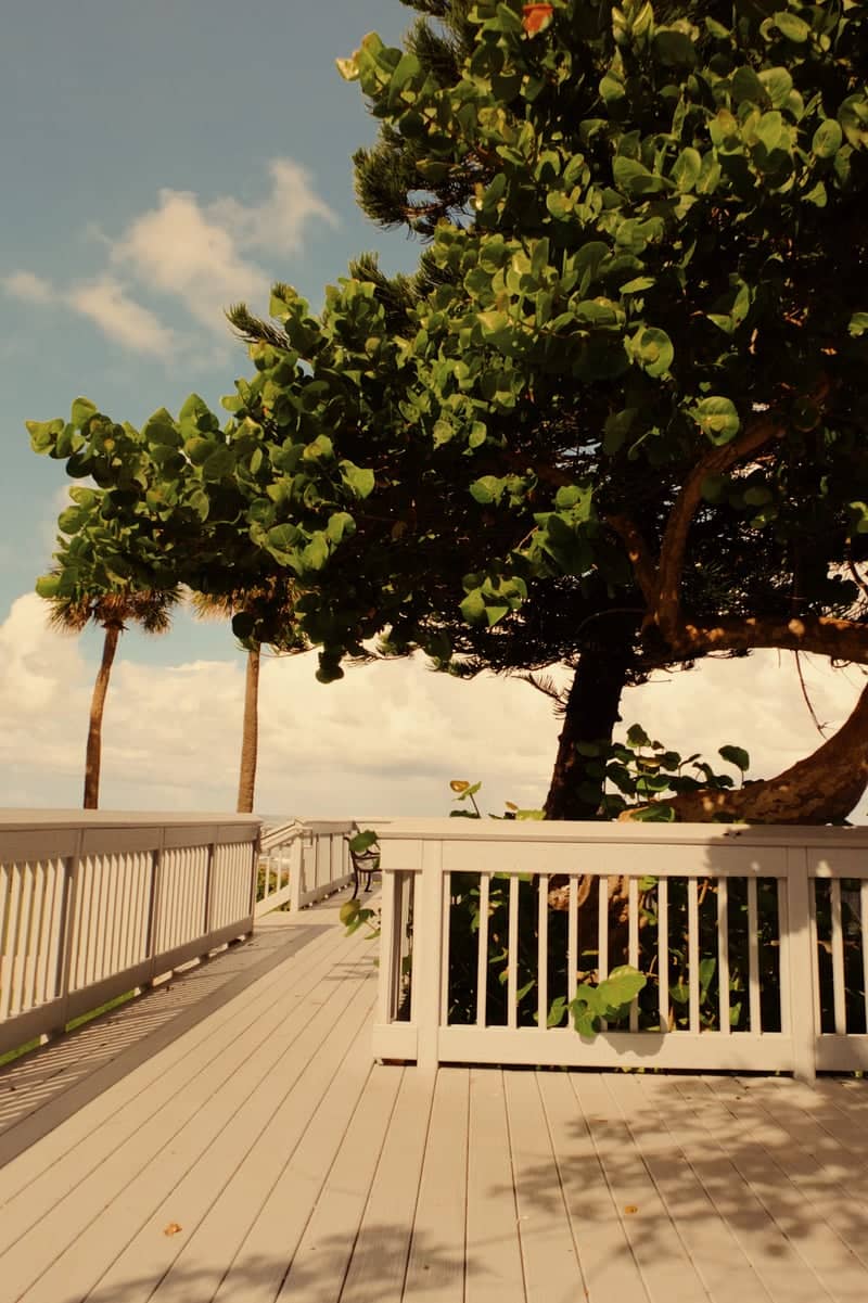 Deerfield Beach Boardwalk - Image 1