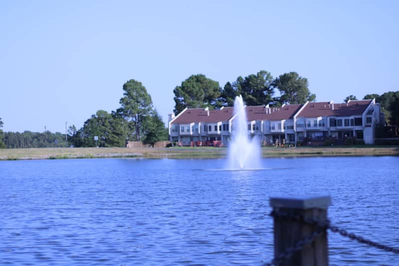 Lake Pointe Fountain - Image 1