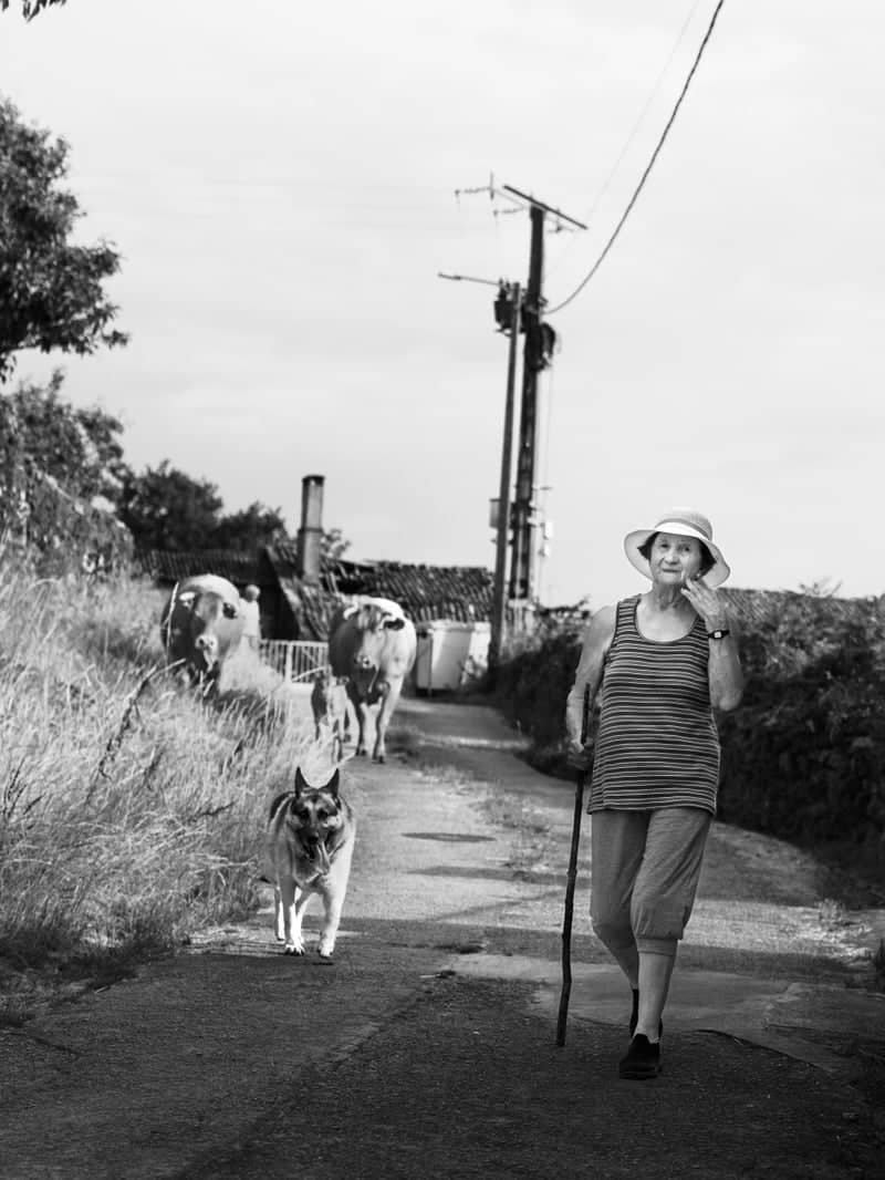 Rural Lane in Ourense - Image 1