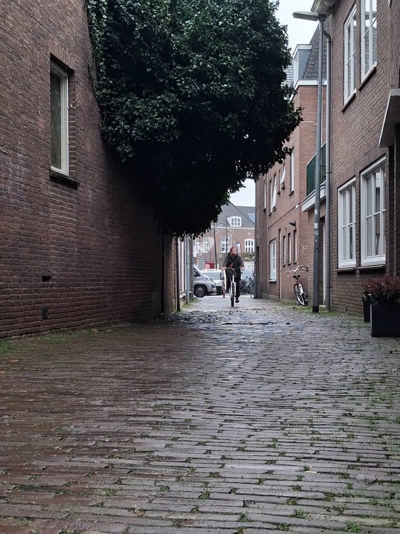 Wageningen Cobblestone Alley - Image 1