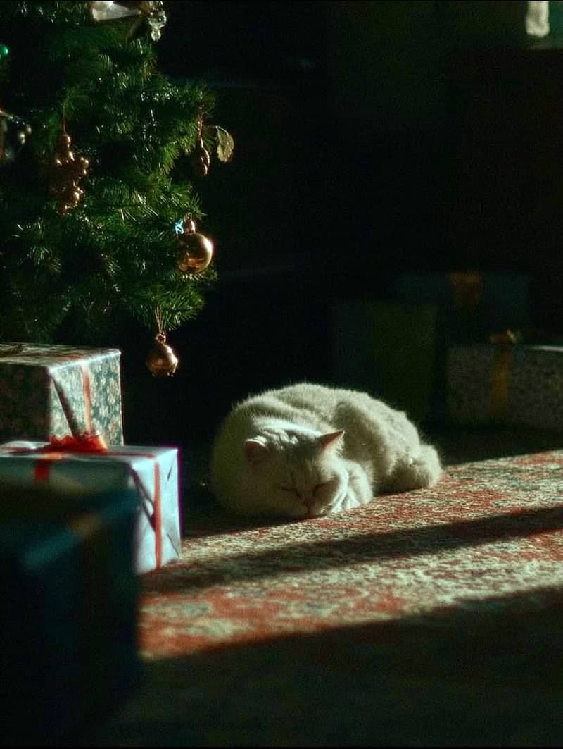 Cozy Holiday Interior - Image 1