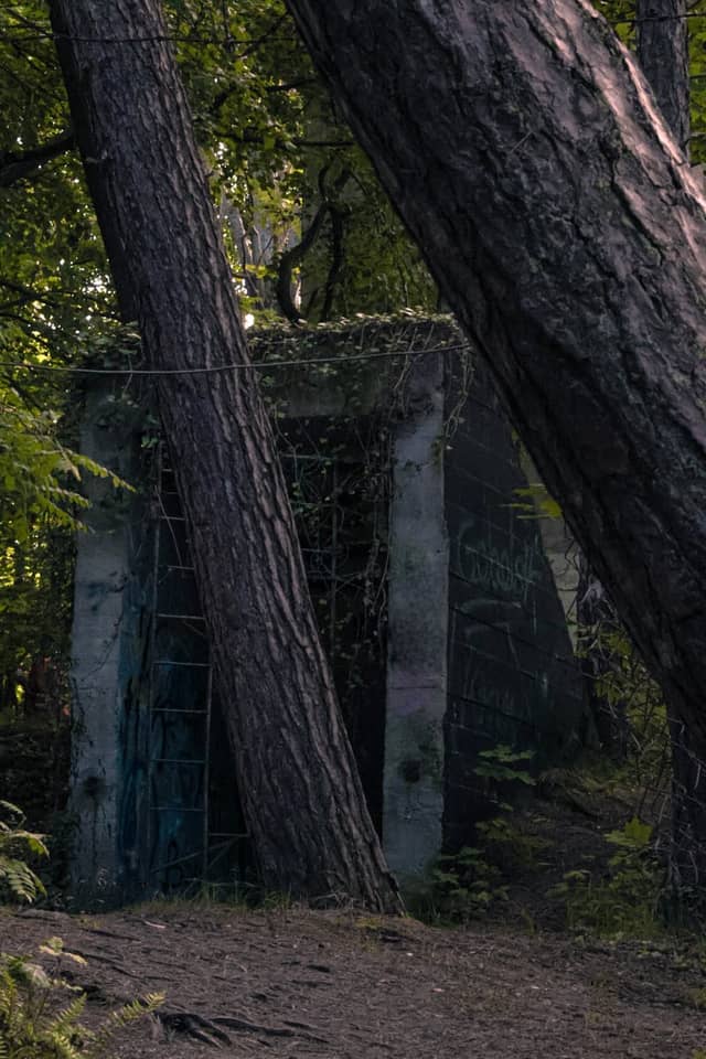 Hel Peninsula Military Bunkers - Image 1