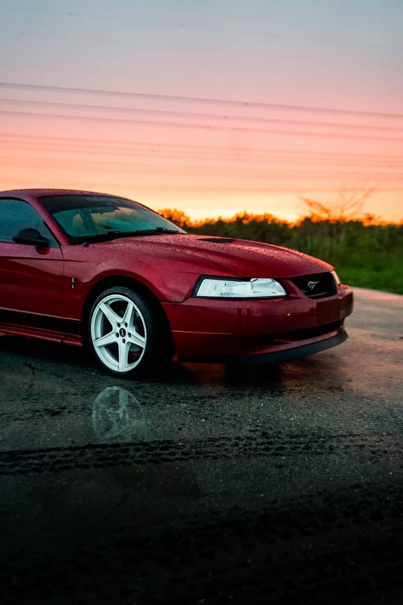 Everglades Edge Sunset Road - Image 4