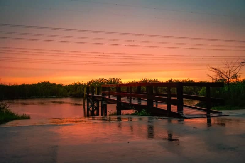 Everglades Edge Sunset Road - Image 3
