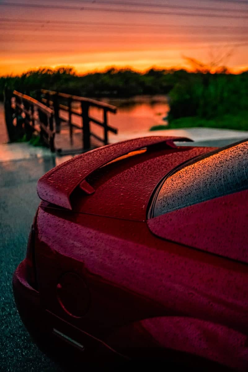 Everglades Edge Sunset Road - Image 1