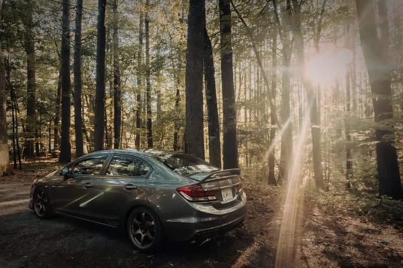 Lunenburg Forest Road - Image 1
