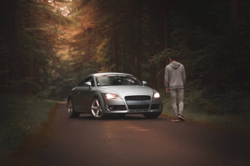 La Villette Forest Road - Image 1