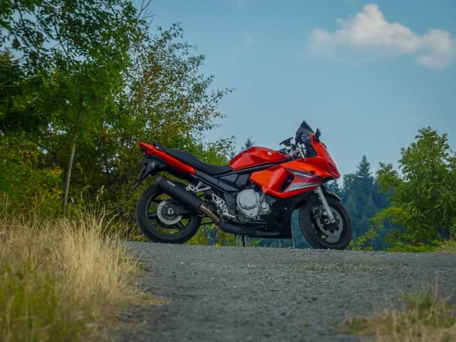 Sauerland Scenic Road near Deifeld - Image 1