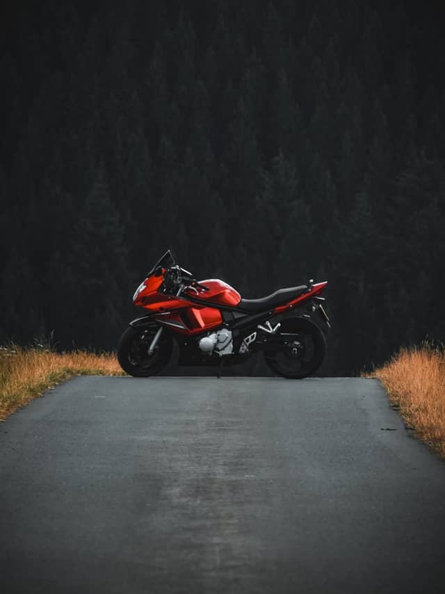 Sauerland Forest Road - Image 1