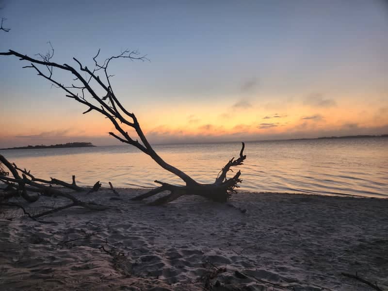 Chincoteague Bay Shoreline - Image 1