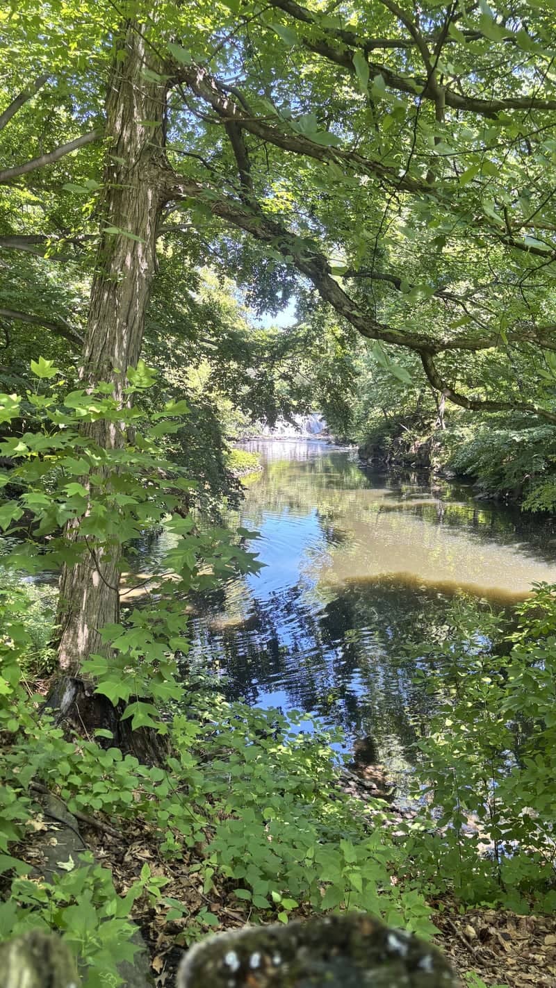 Bronx River at Bronx Park - Image 3