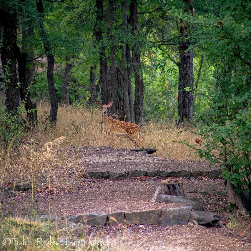 Fort Richardson State Park - Image 1