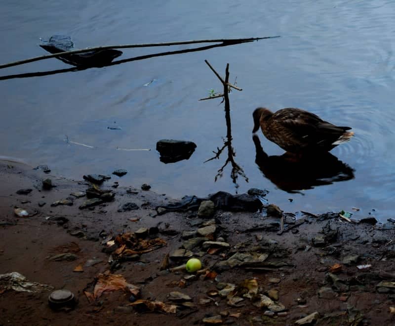Yauza River Bank - Image 1