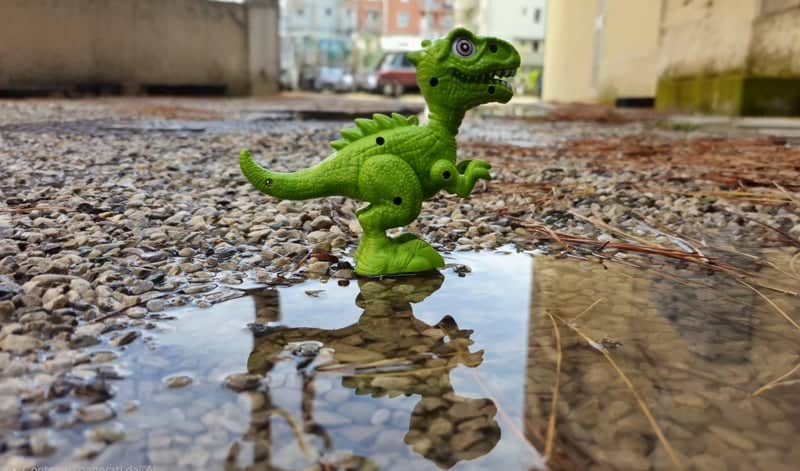 Capriolo Courtyard Puddles - Image 1