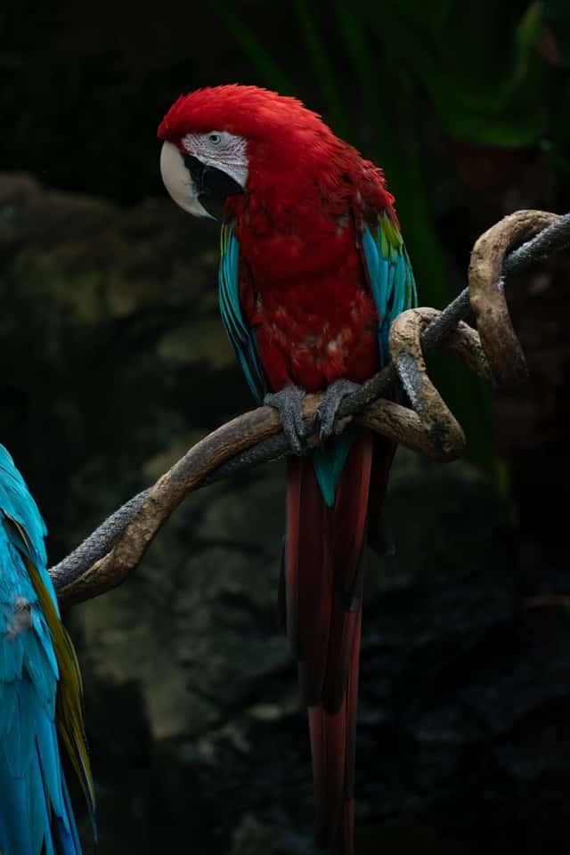 Central Park Zoo