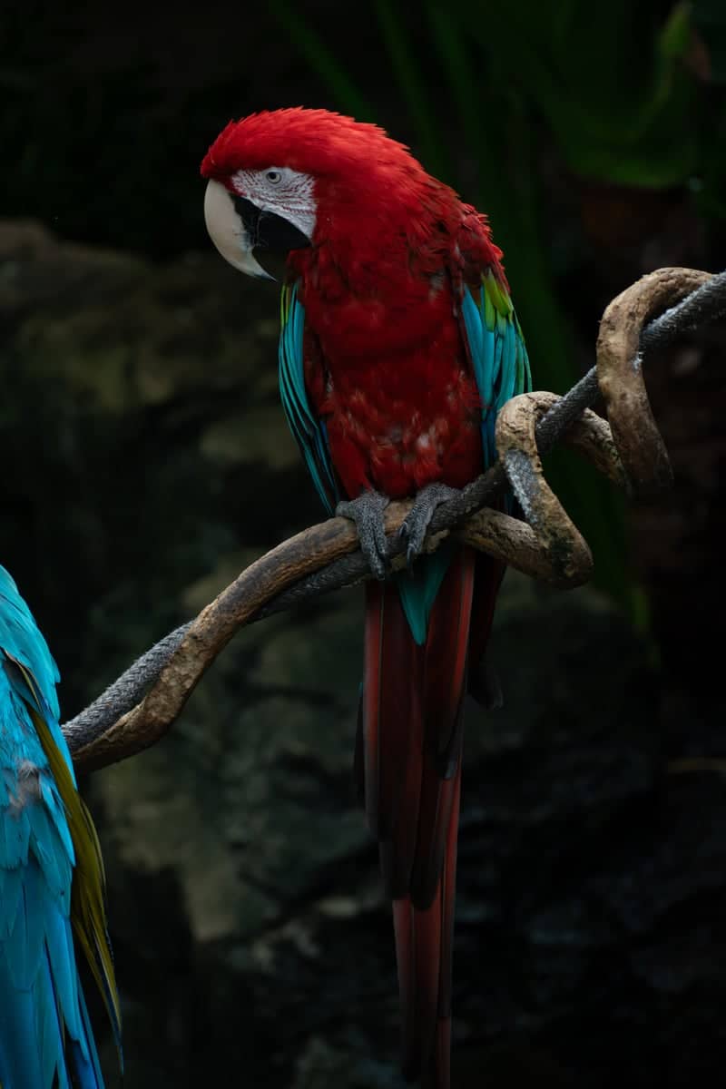 Central Park Zoo - Image 1