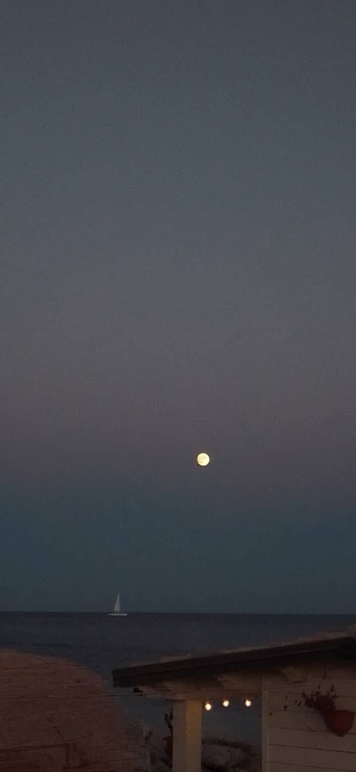 Marzamemi Coastline - Image 1