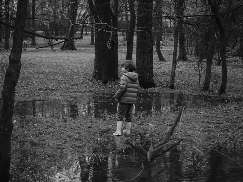 Parco Ducale, Parma - Image 1