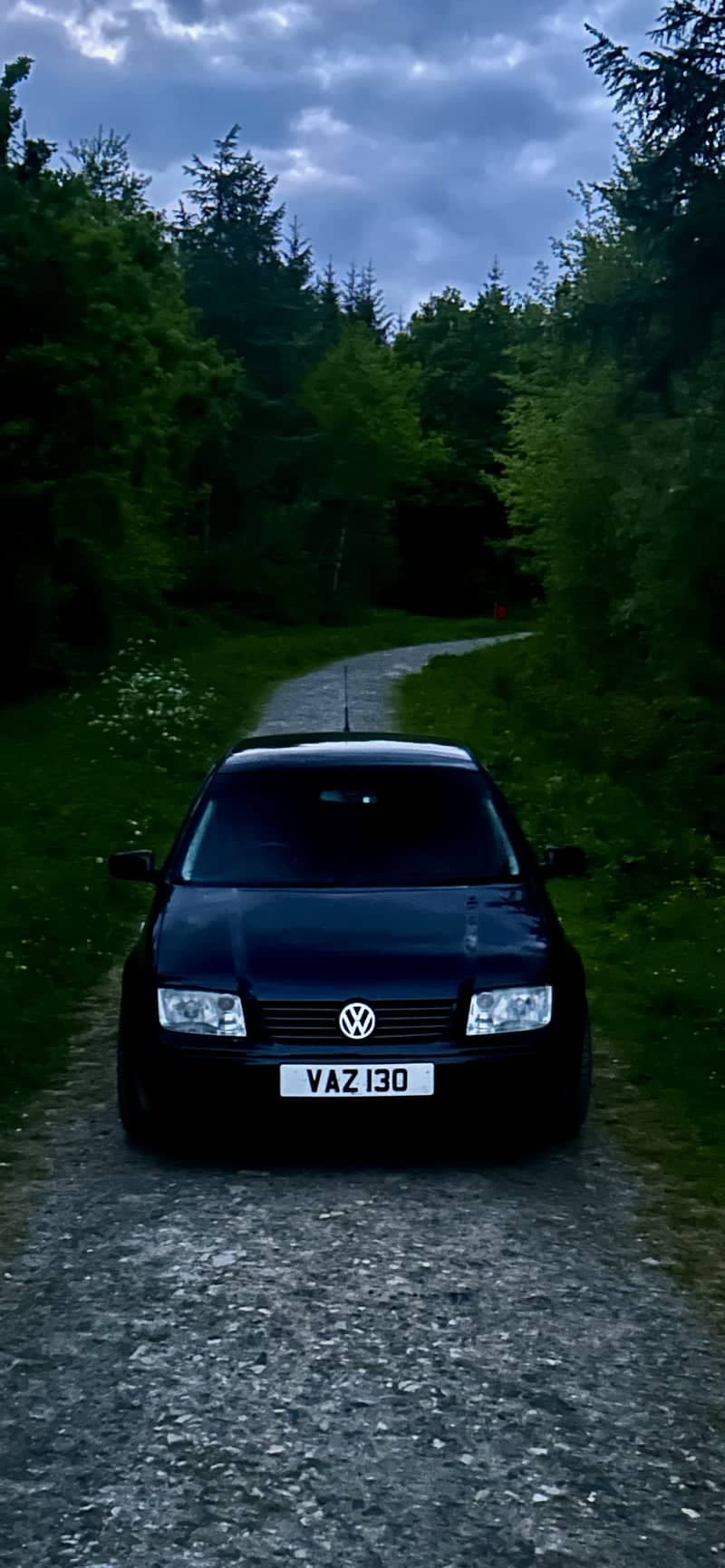 Cookbury Forest Track - Image 1