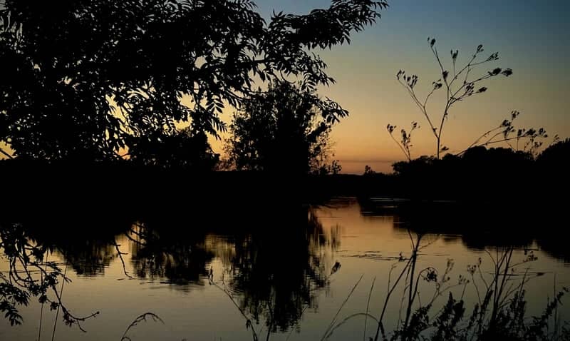Moselle Riverbank in Bousse - Image 1
