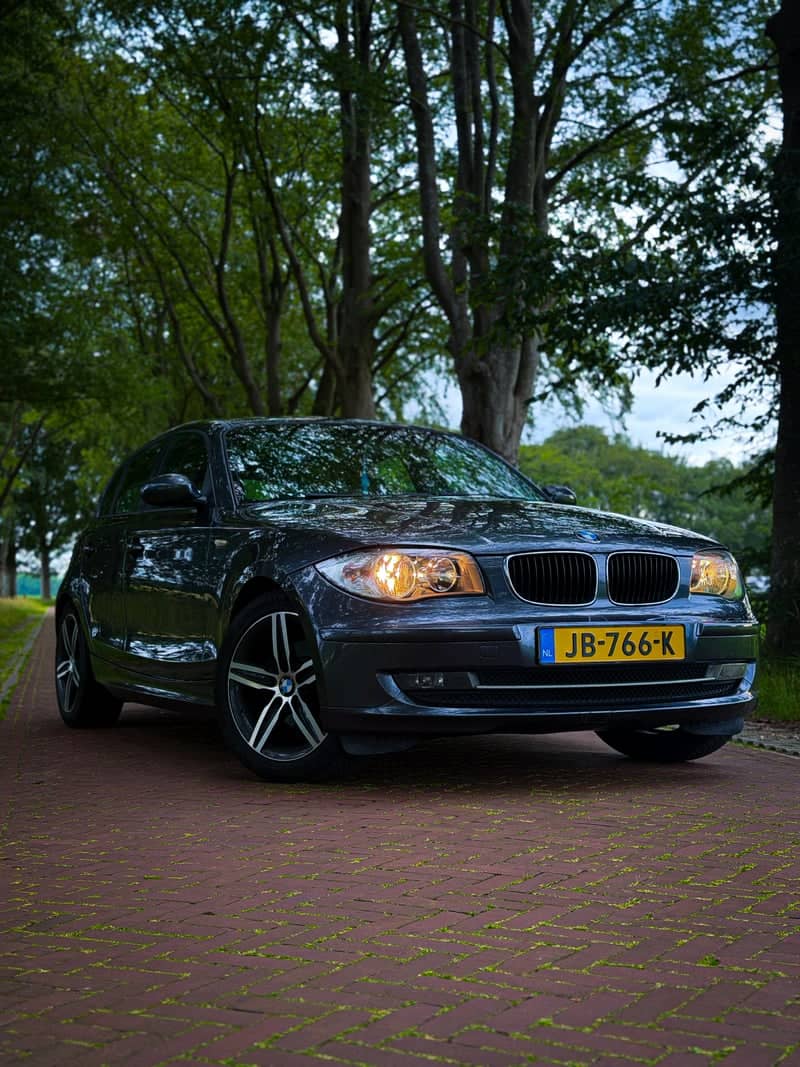 Oosterboerseweg Tree-Lined Road - Image 1