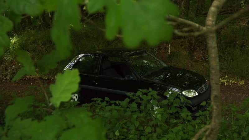 Wooded Road in Allassac - Image 1