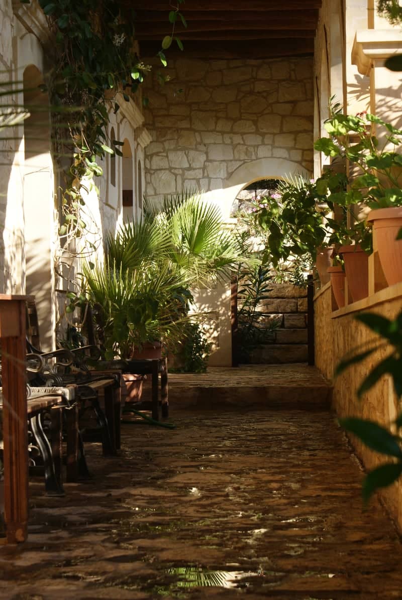 Arkadi Monastery Courtyard - Image 1
