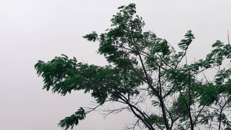 Laskein Countryside - Image 1