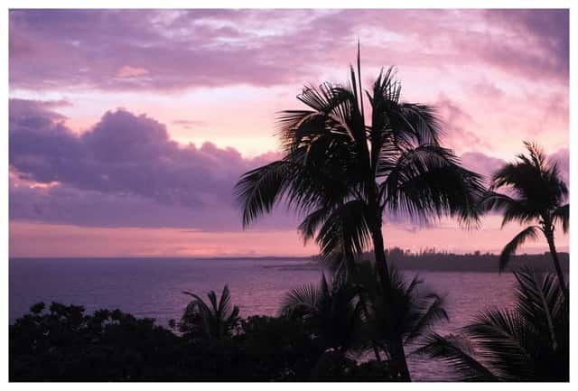 Puna Coast Sunset View