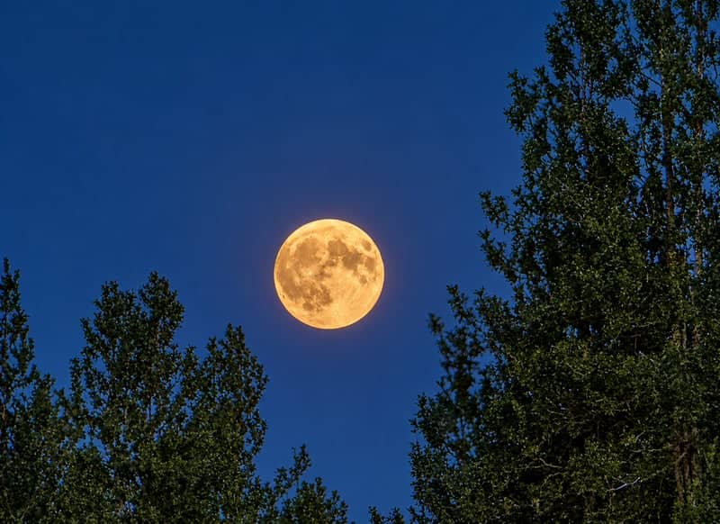 Spokane Valley Moonrise Overlook - Image 1