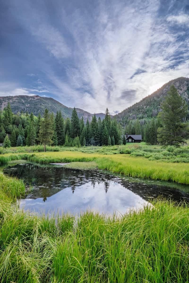 Uinta Mountains Alpine Meadow - Image 1