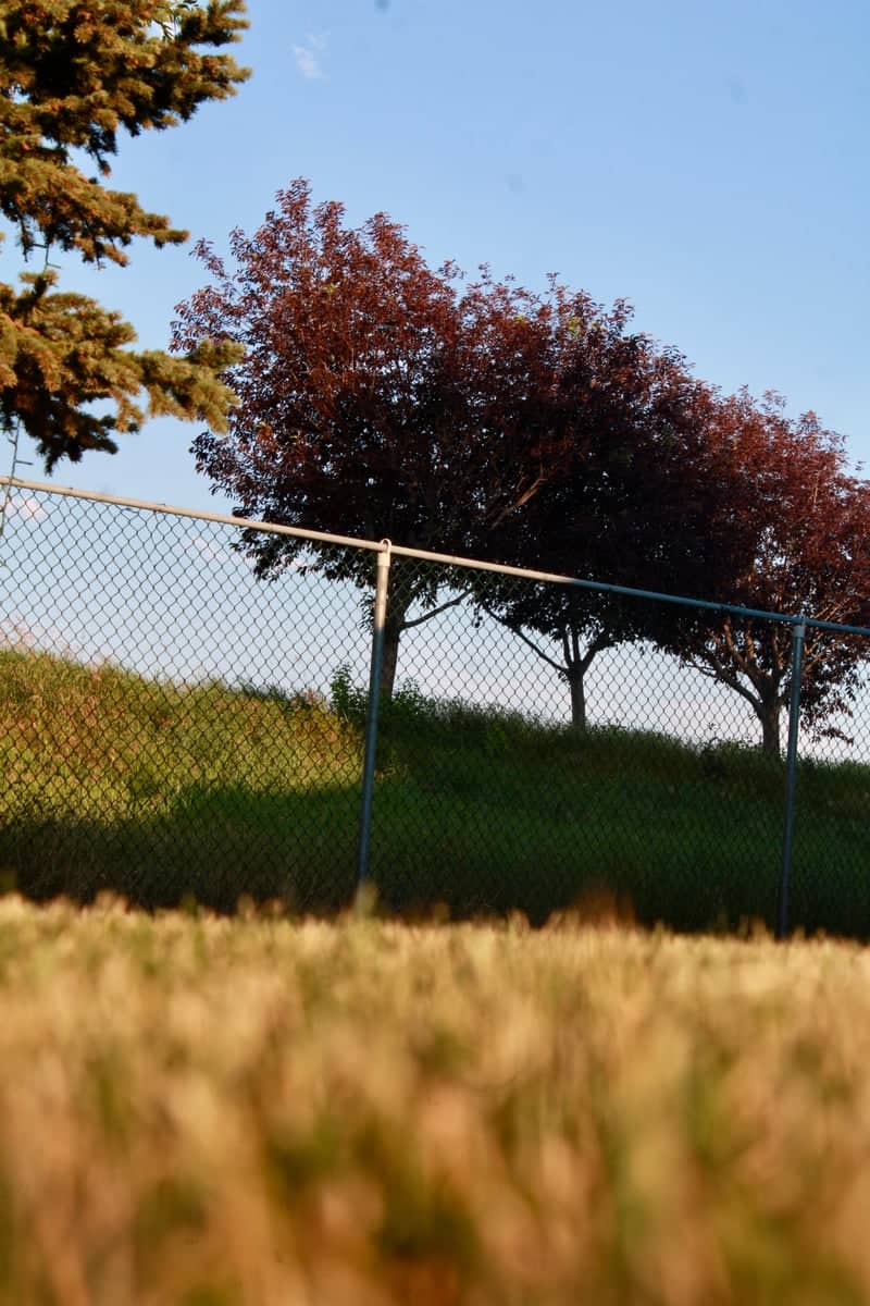 Jensen Park Green Space - Image 1