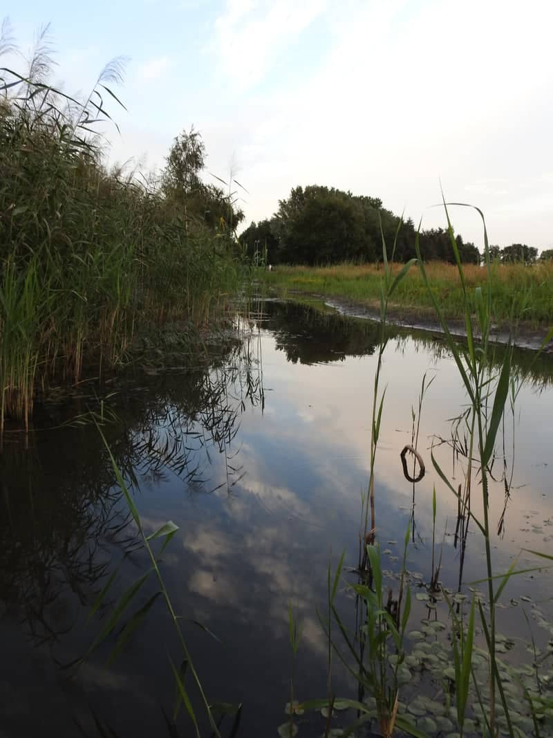 Marsdijk Nature Canal - Image 1