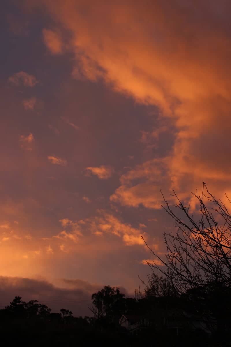 Mount Austin Sunset View - Image 1