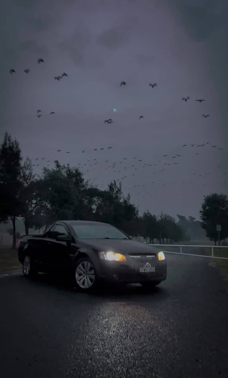 Cobbitty Countryside Road - Image 1