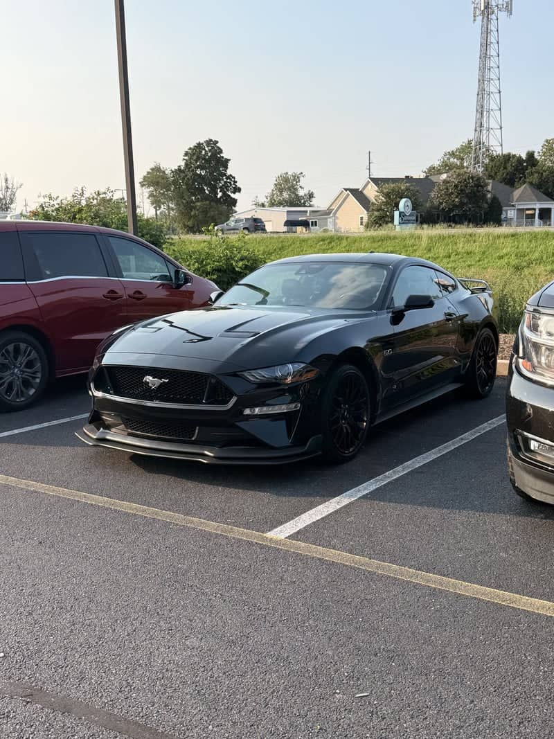 Lewes Coastal Highway Car Spotting - Image 1