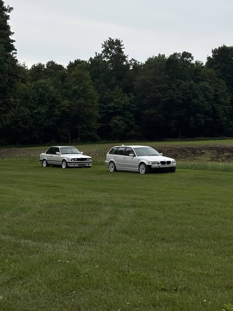 Shelby Rural Meadow - Image 1