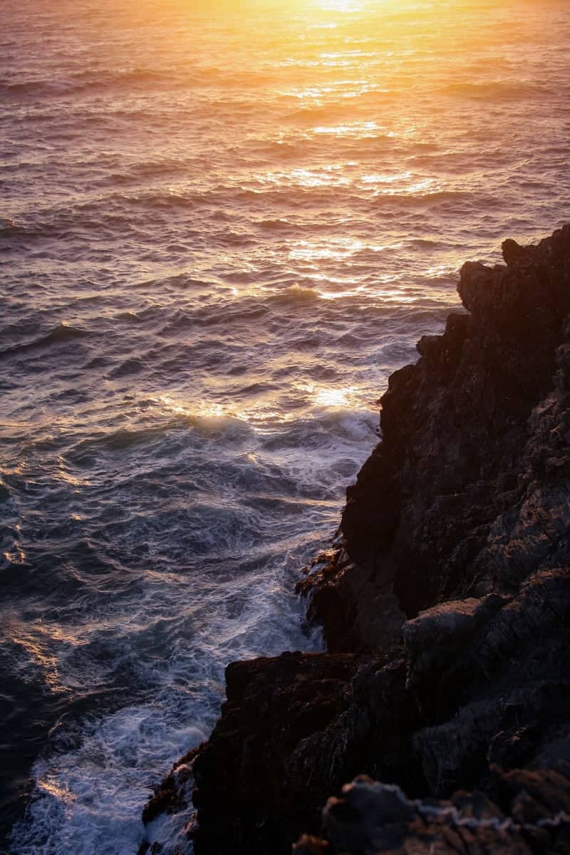 Bodega Head - Image 1