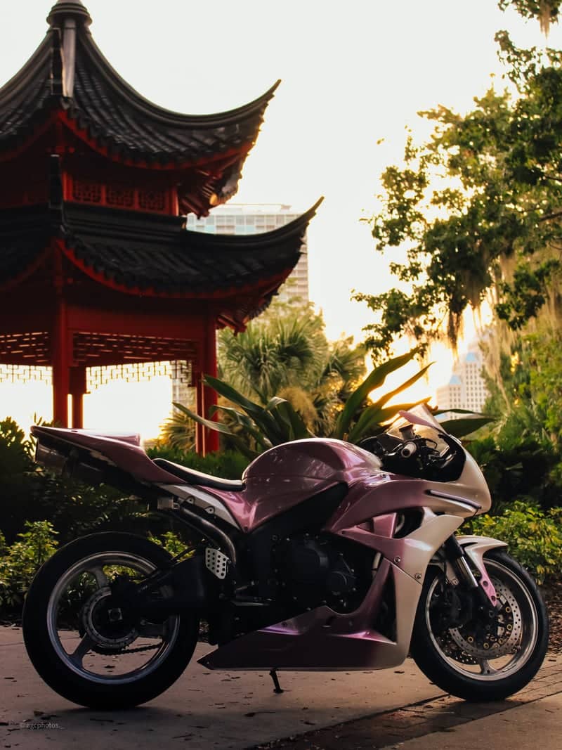 Ting Pagoda at Lake Eola Park - Image 1