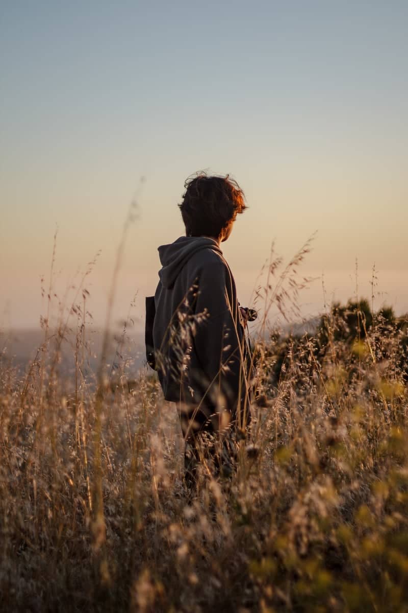 Windy Hill Open Space Preserve - Image 1