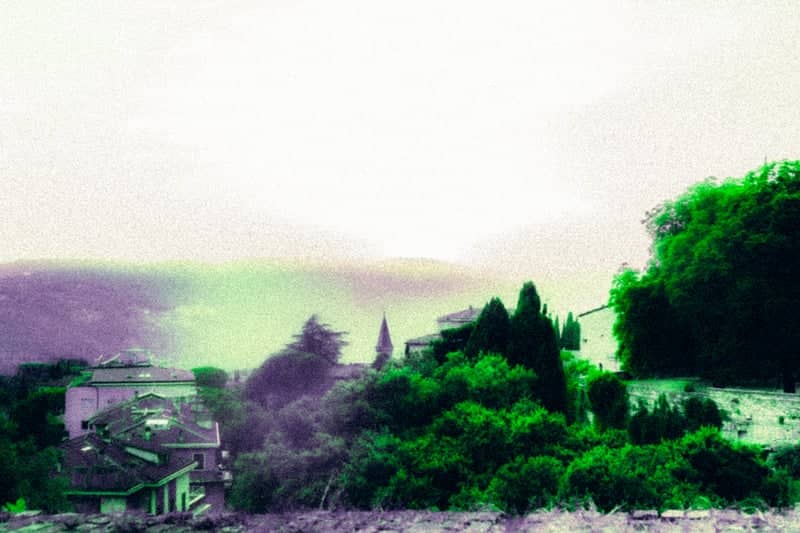 Via della Luna Greenery - Image 3