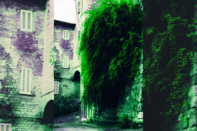 Via della Luna Greenery - Image 2