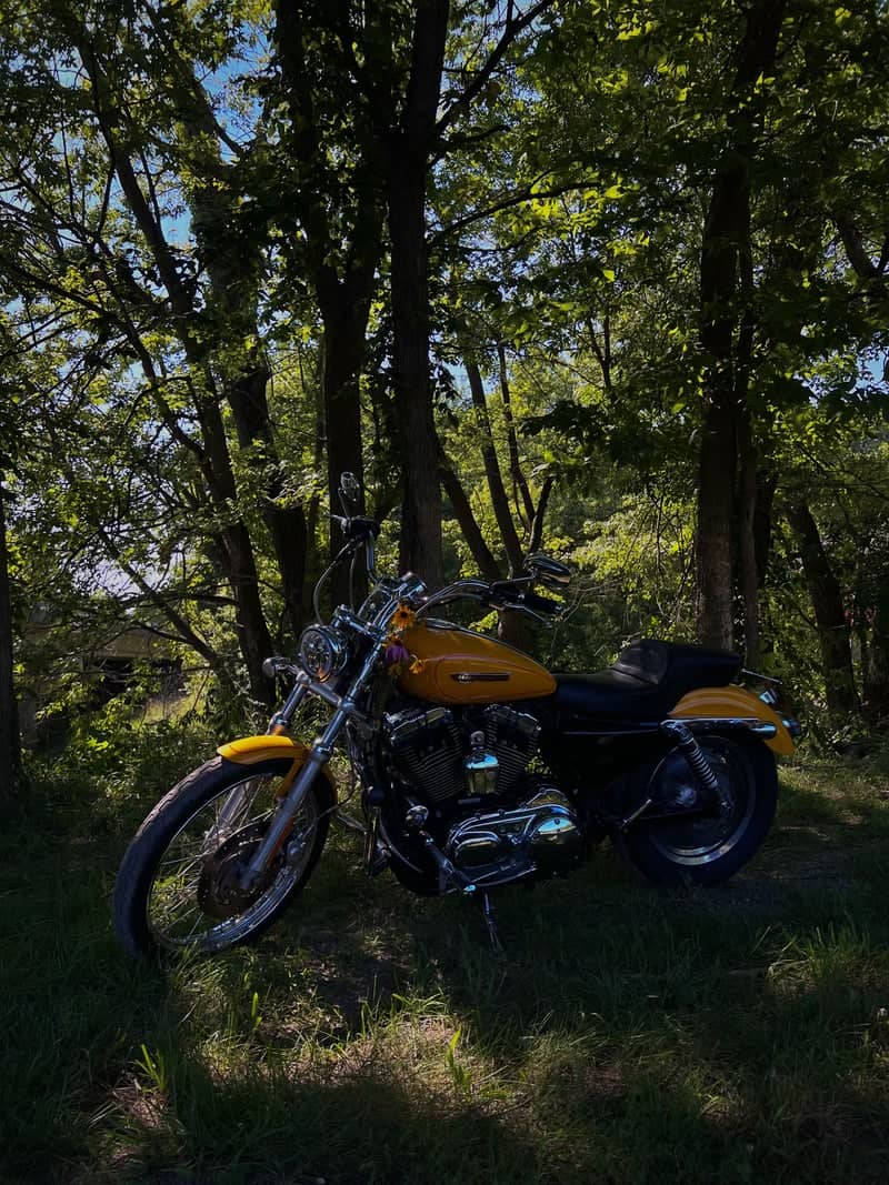 Spencerville Wooded Trail - Image 1