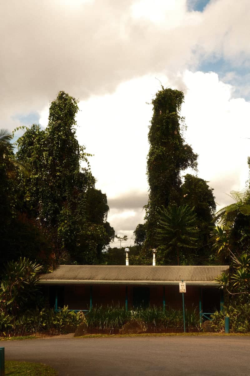 Cairns City Library Grounds - Image 1