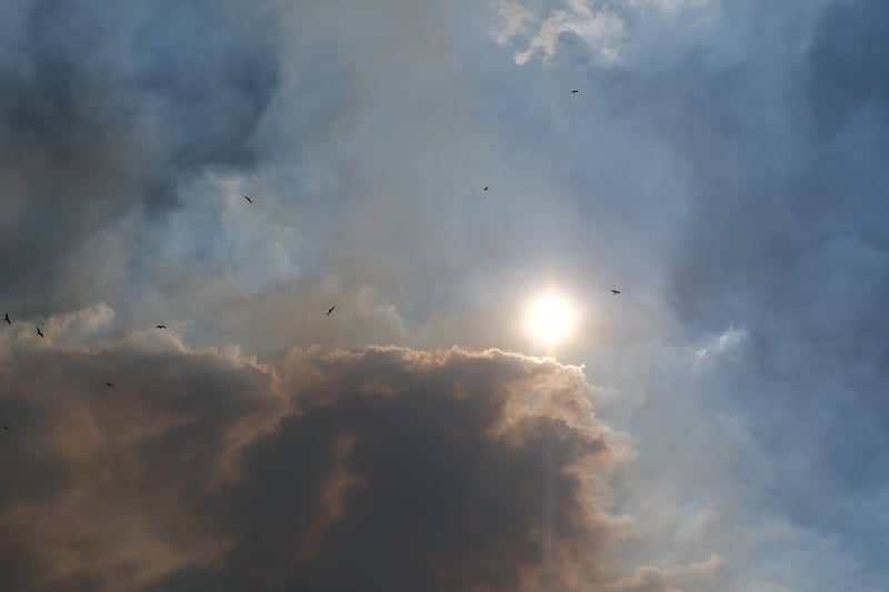 Darwin City Skyview - Image 1