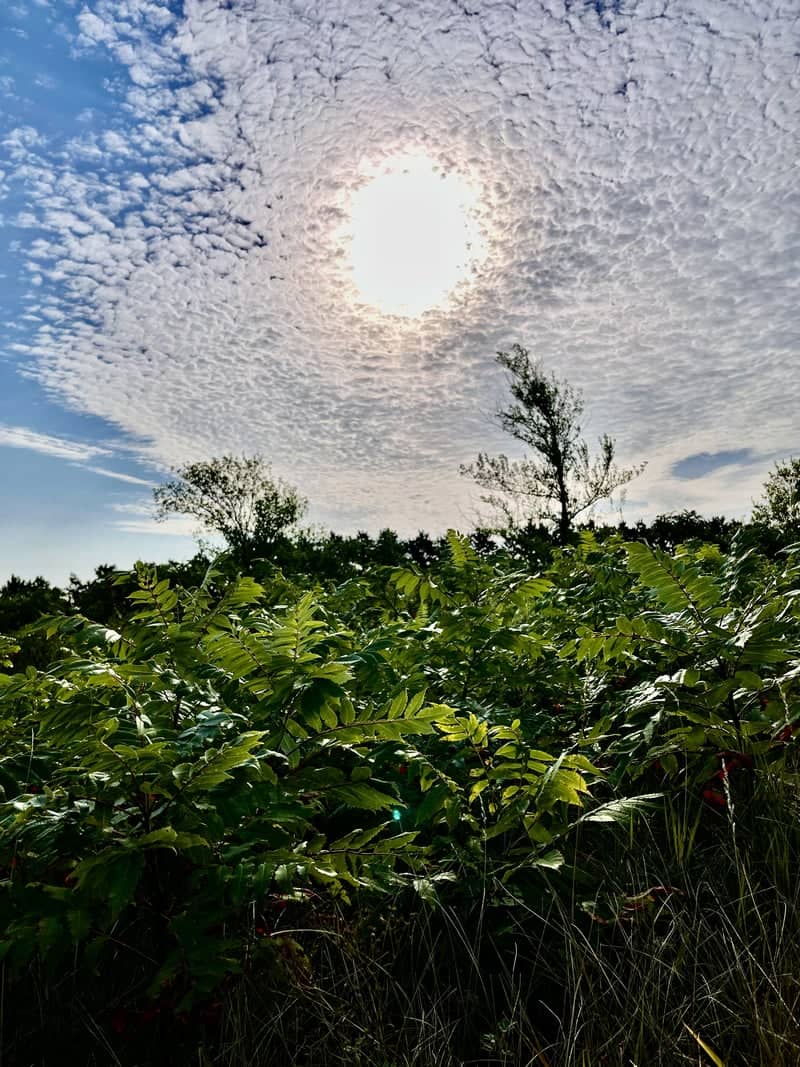 Battle Lake Rural Landscape - Image 1