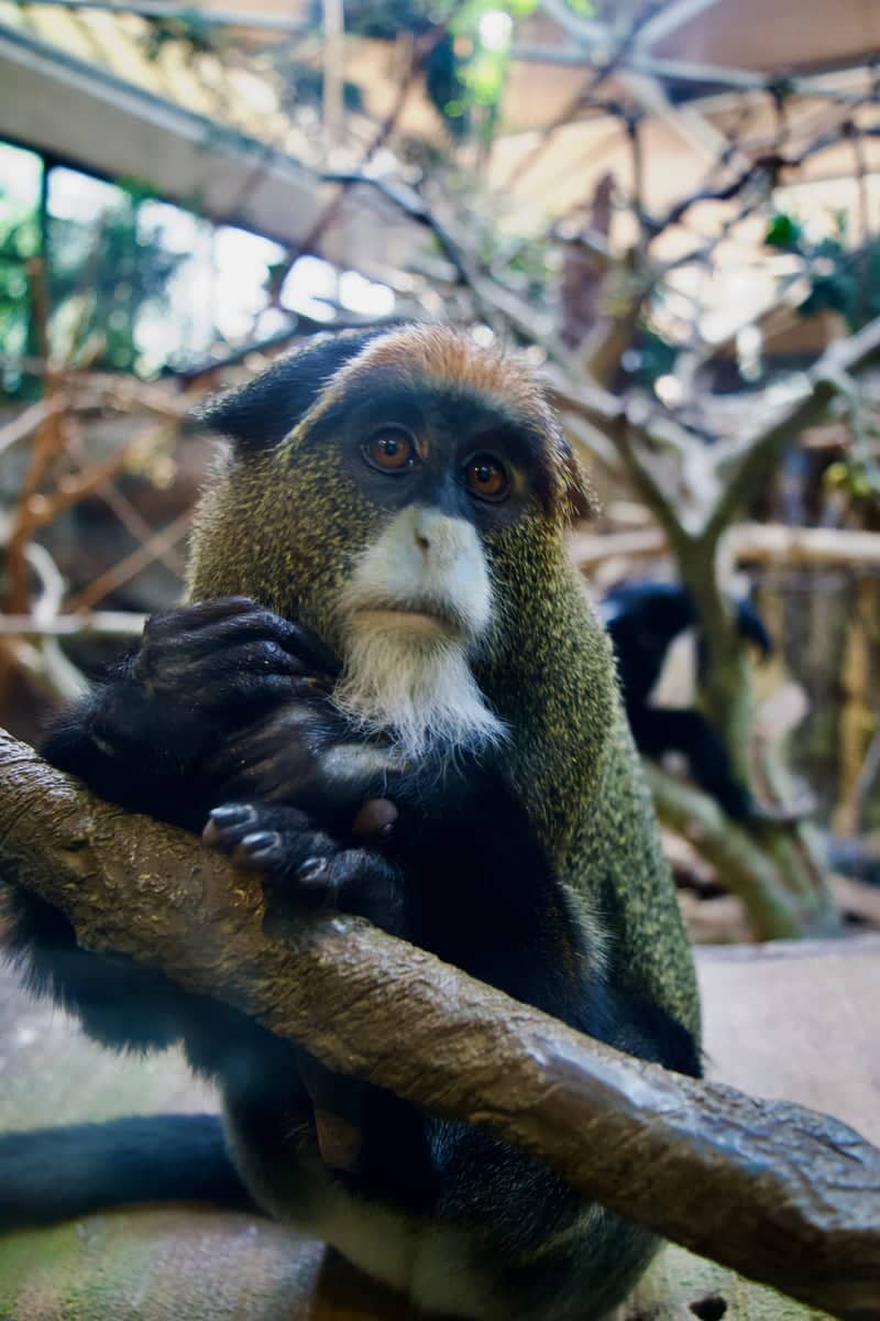 Minnesota Zoo - Image 1