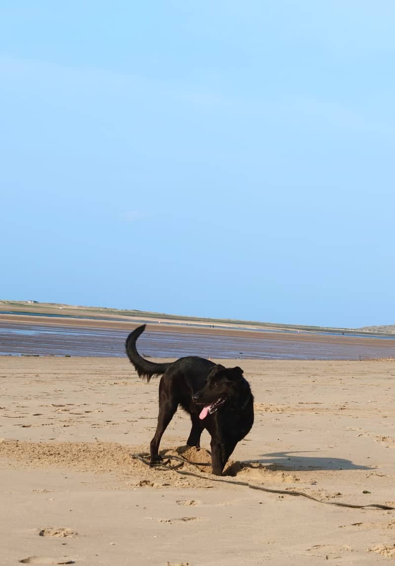 North Norfolk Coastline - Image 4