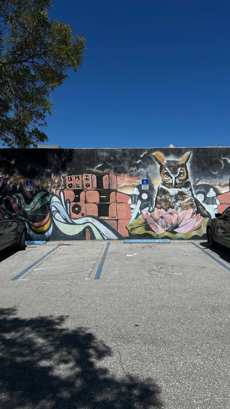 Lake Worth Beach Owl Mural - Image 1