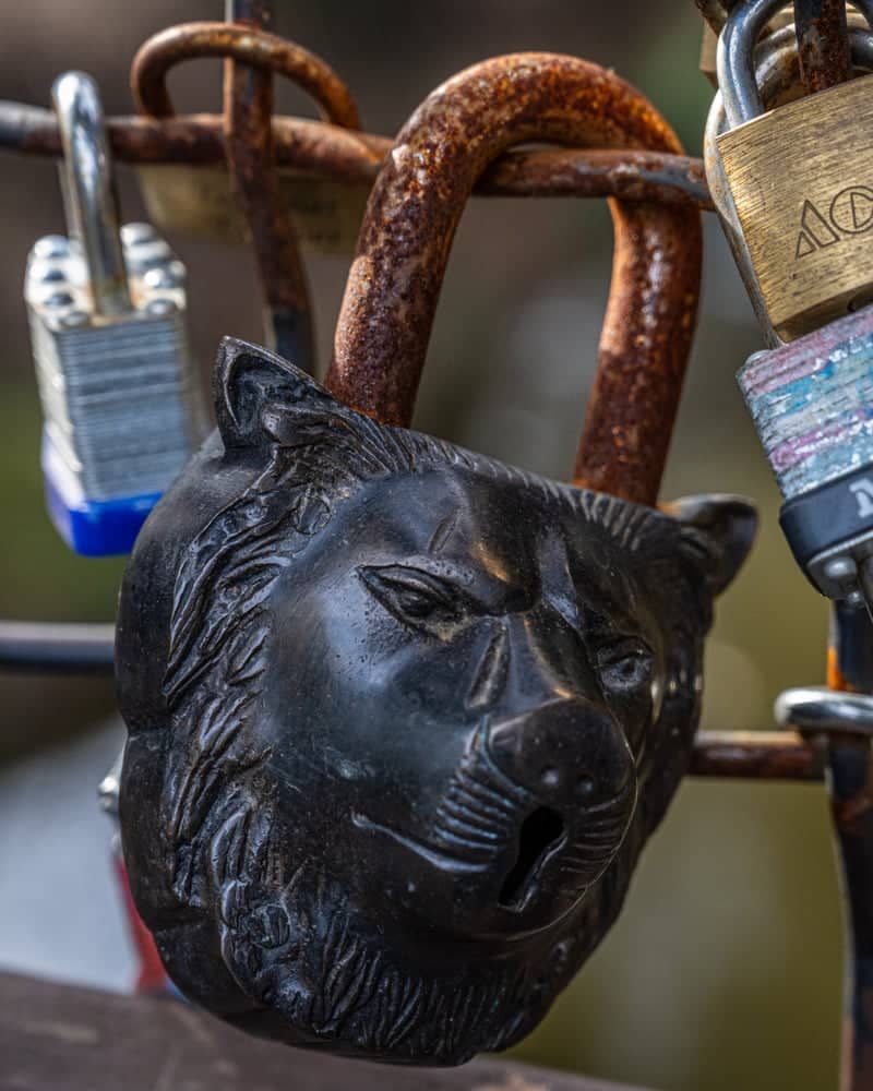 UC Davis Arboretum Love Lock Bridge - Image 1